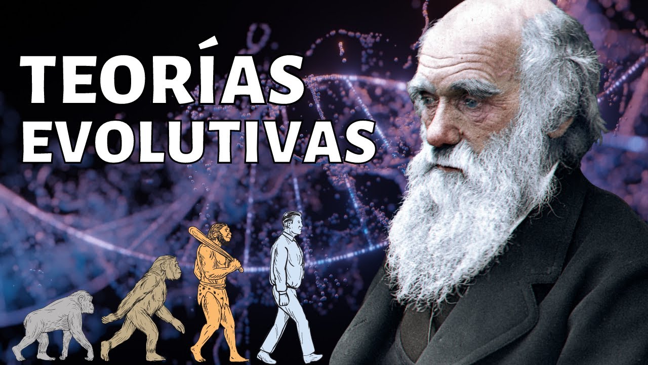 Mecanismos evolutivos: Claves en la diversidad especies