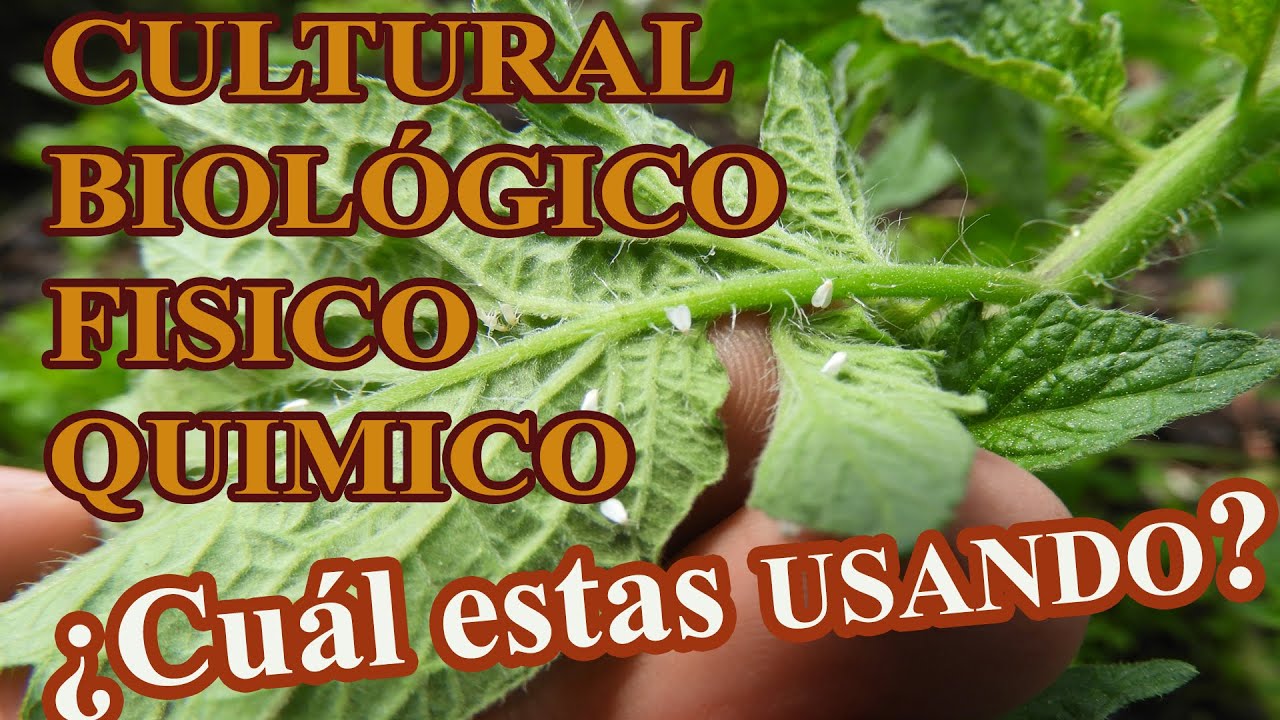 Métodos de control de plagas