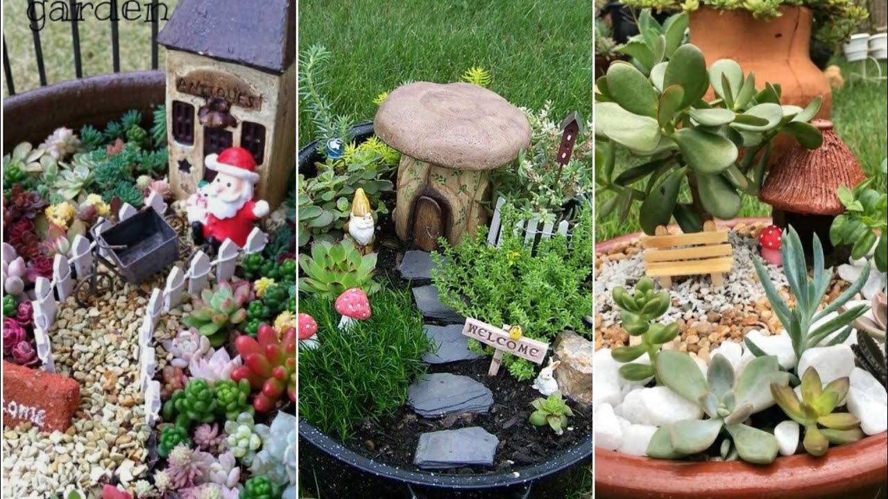 Mini jardines con suculentas y cactus: Ideas creativas