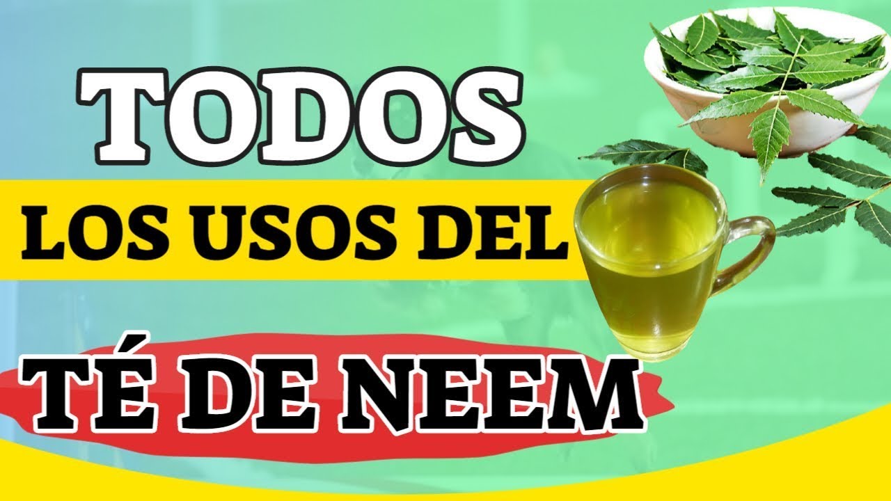 Neem: ¿Cuántas hojas se necesitan para purificar un litro de agua?