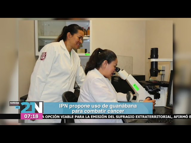 Nombre científico de la hoja con cáncer