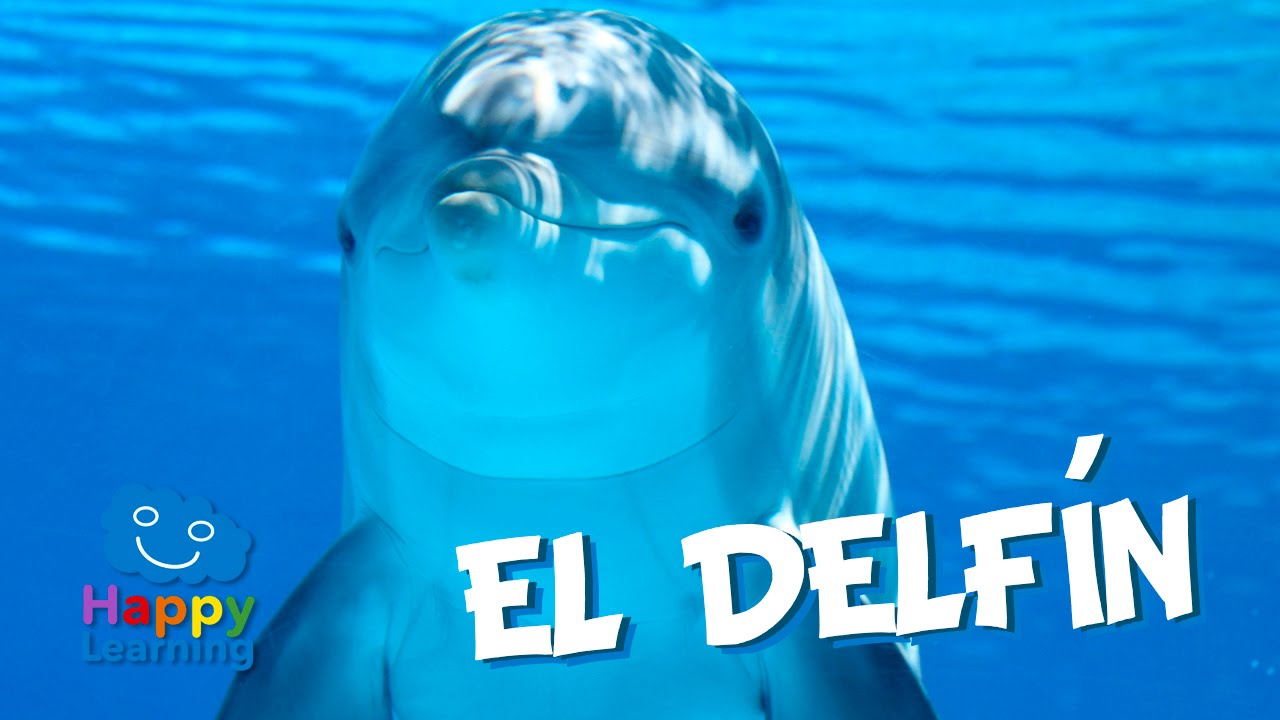 Nombre científico del delfín