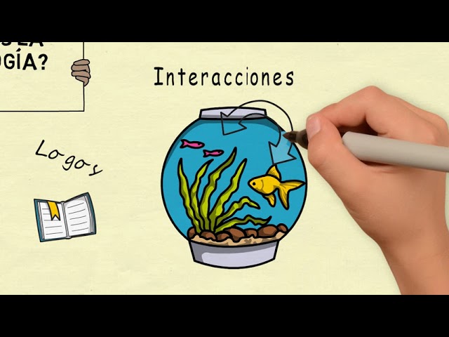 Objetivo principal de la ecología