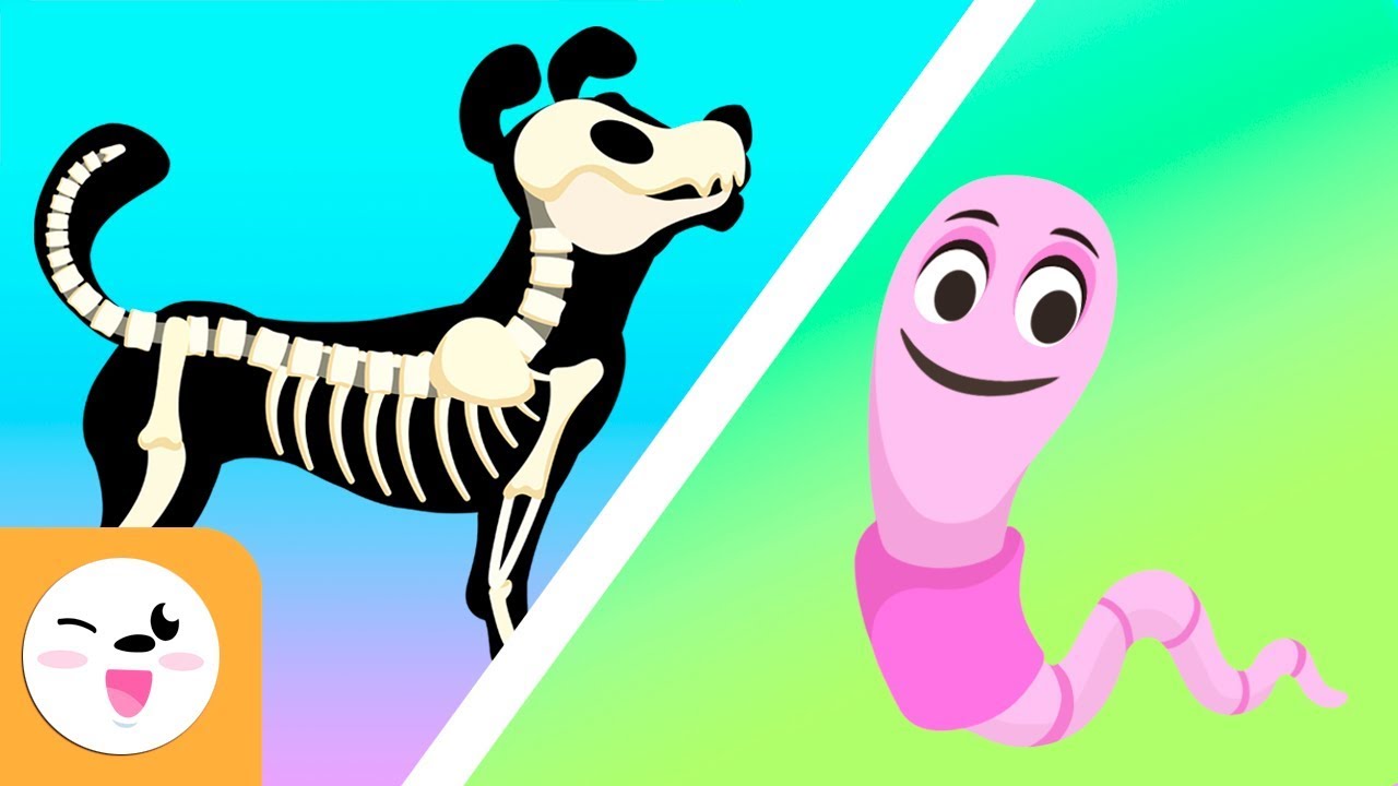 Organismos en la producción agrícola: vertebrados vs. invertebrados