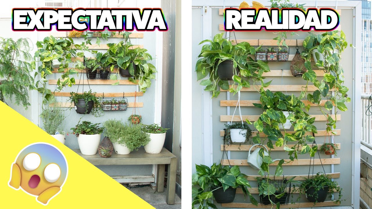 Organización de plantas en espacios reducidos