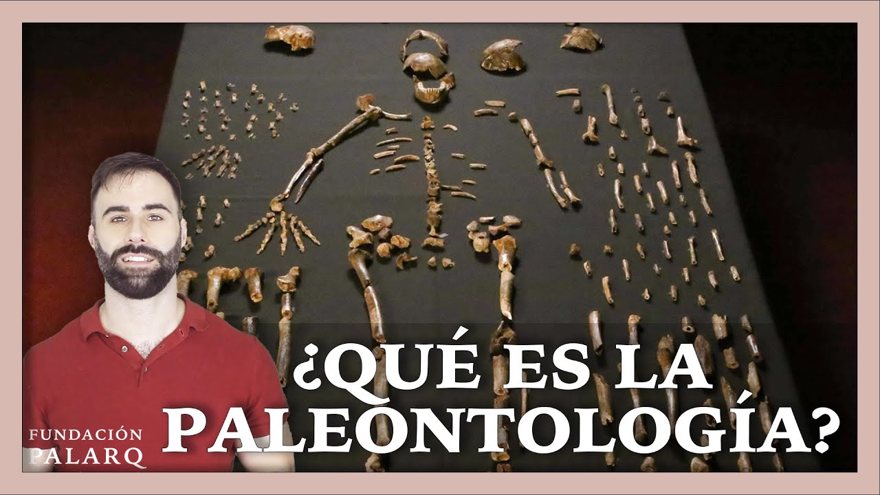 Paleontología: ¿qué hace un paleontólogo?
