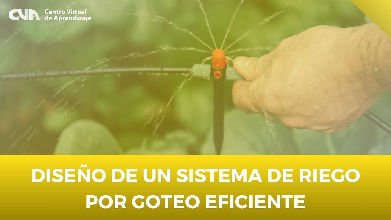 Planificando un sistema de riego por goteo eficiente