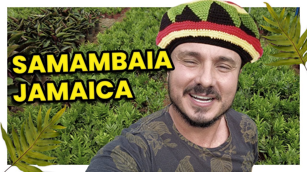 Planta de jamaica: sol o sombra