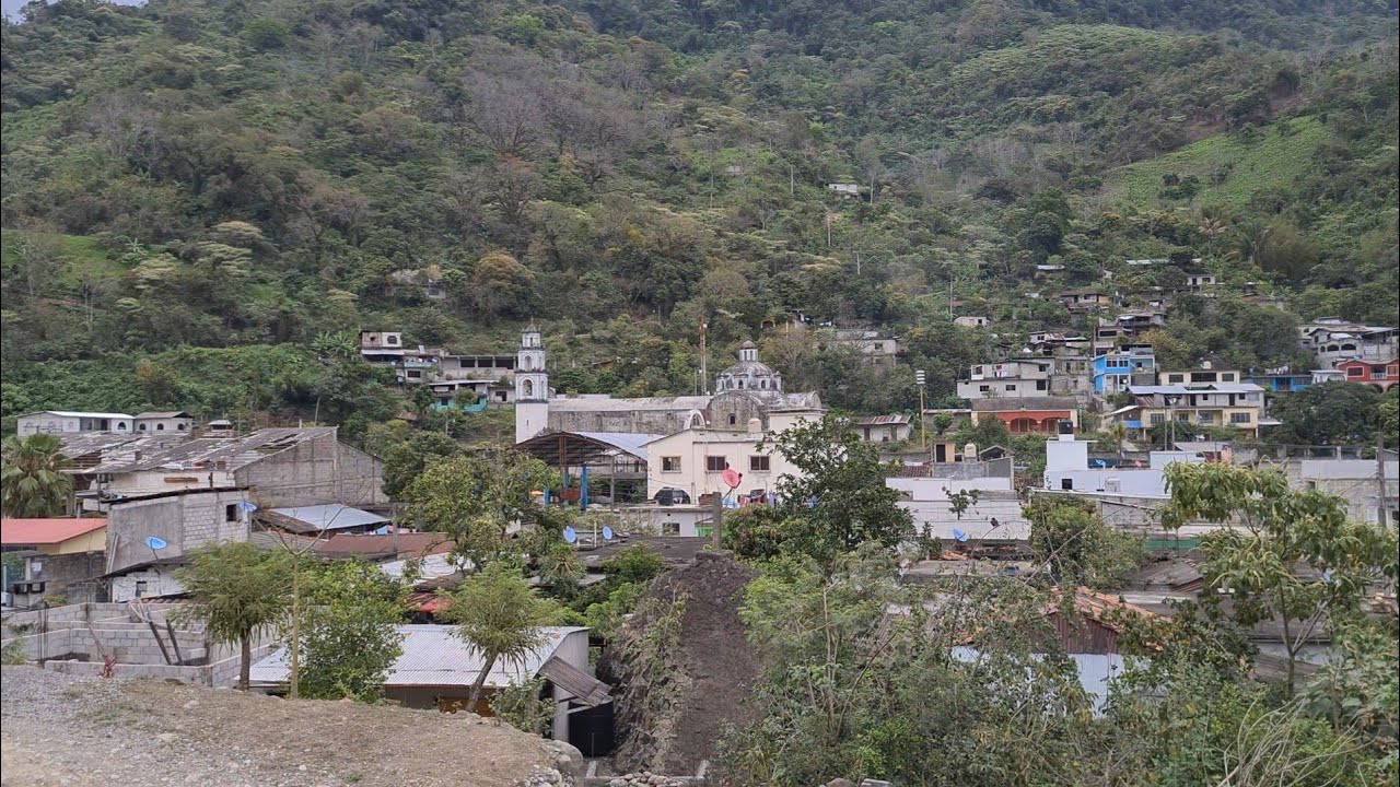 Plantas medicinales en la sierra norte de Puebla