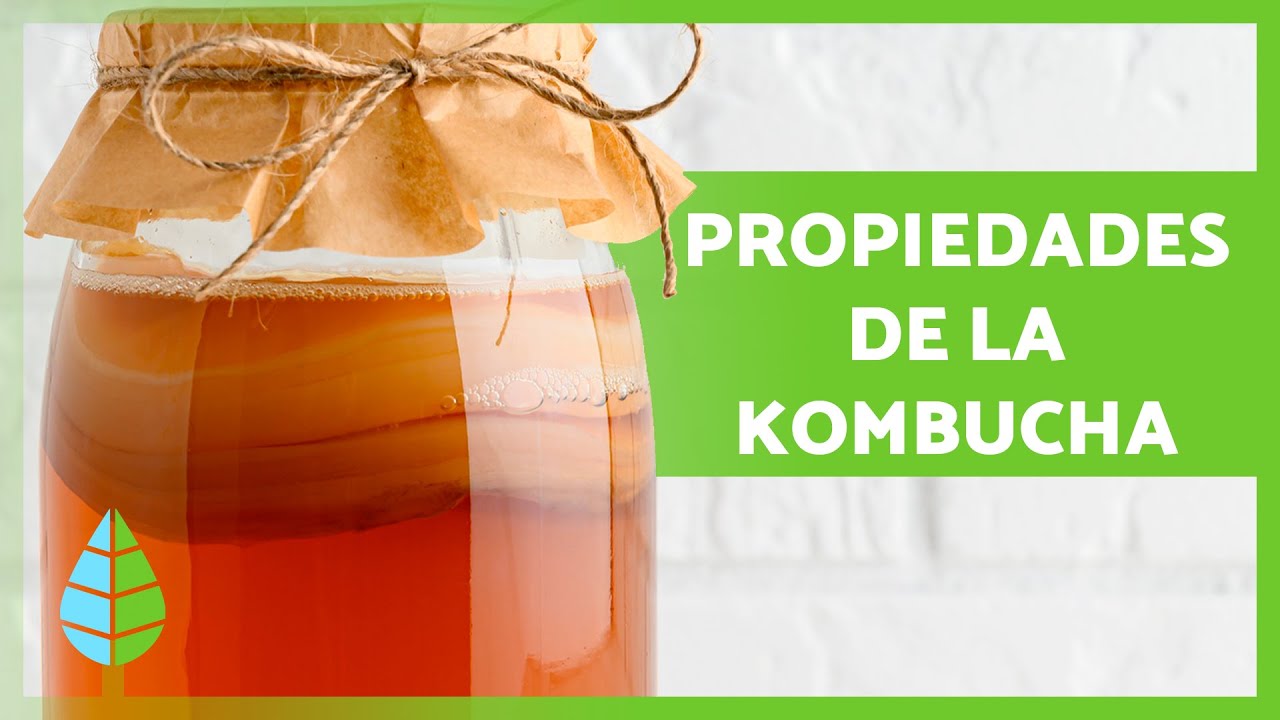 Preparación y consumo de té de kombucha