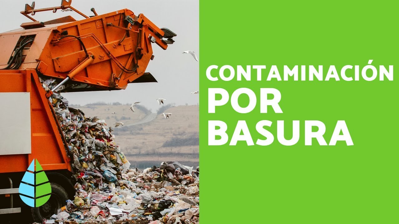 Pros y contras de reducir la basura