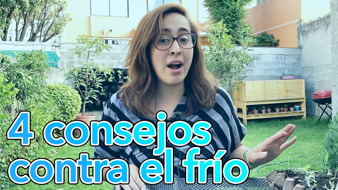 Protege tus plantas del frío