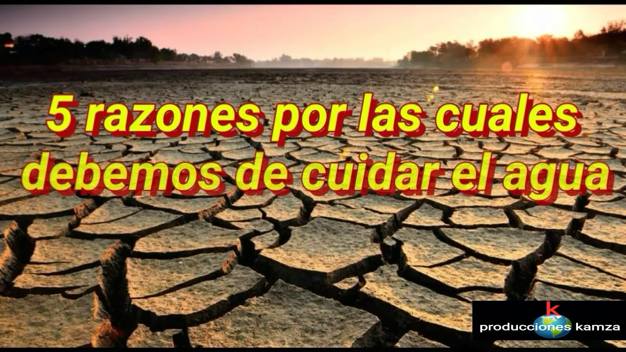 Razones para cuidar el agua