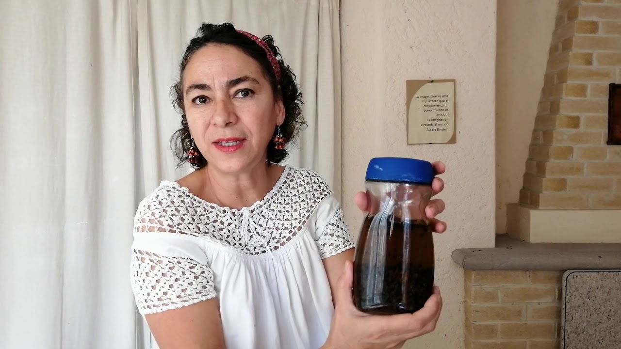 Repelente de mosquitos casero con clavo