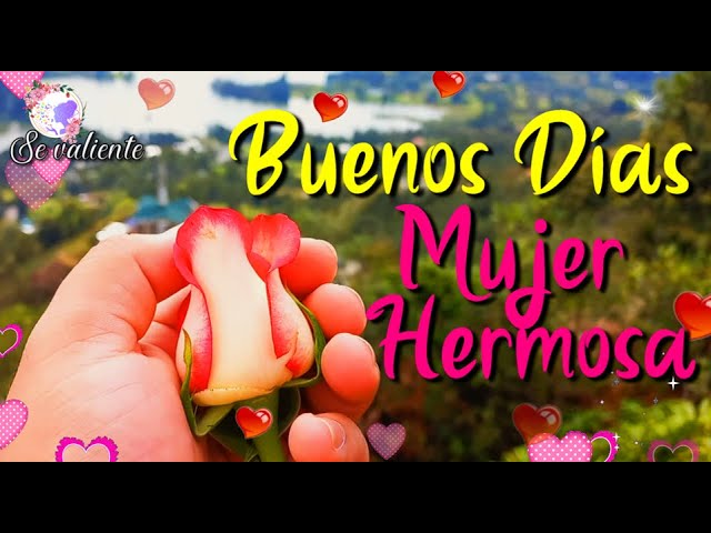 Rosas para el Día de la Mujer