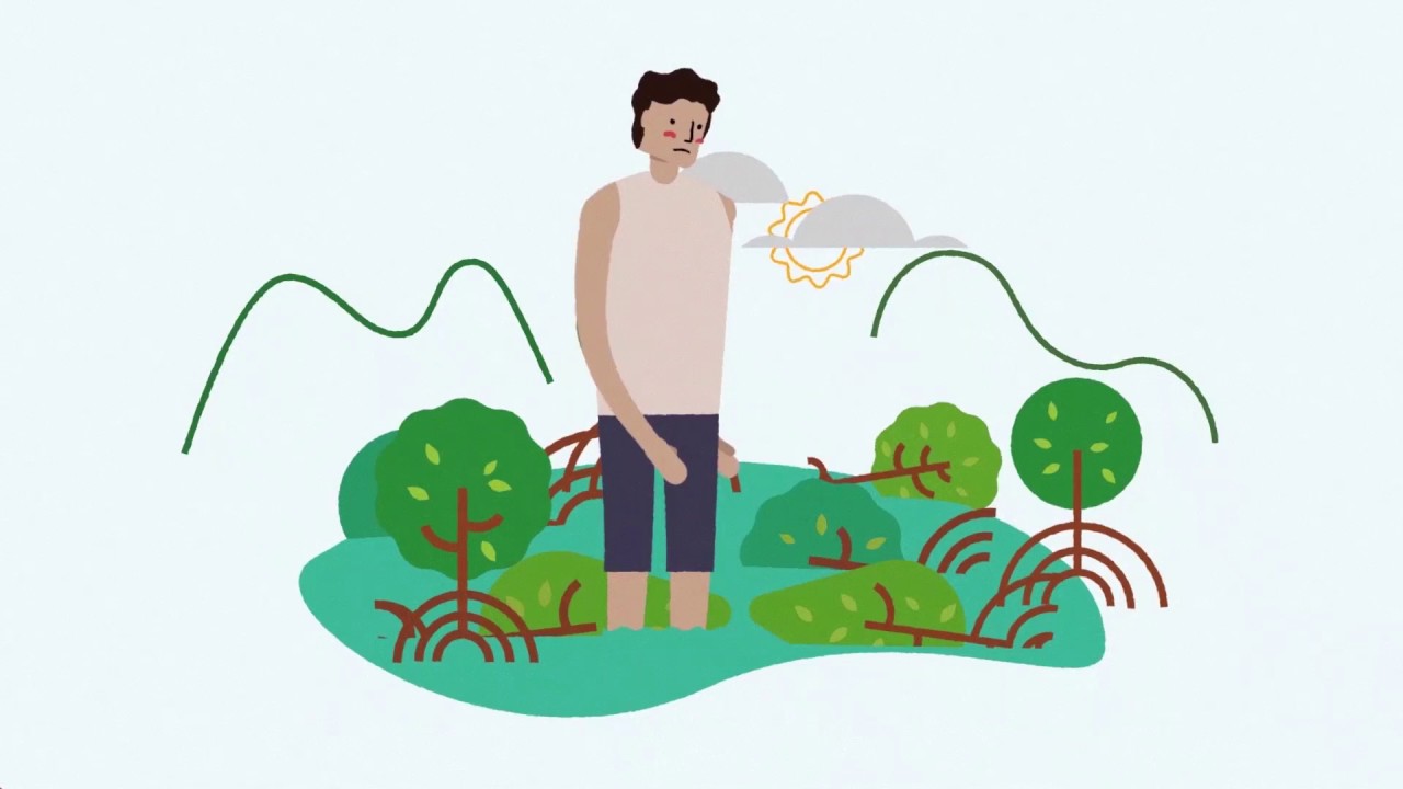 Sabana: áreas protegidas y su biodiversidad