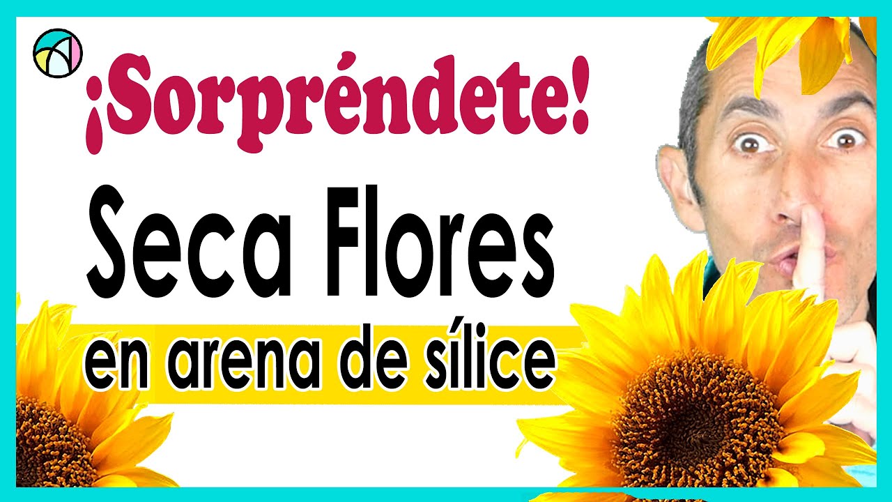 Secado de flores con silica gel