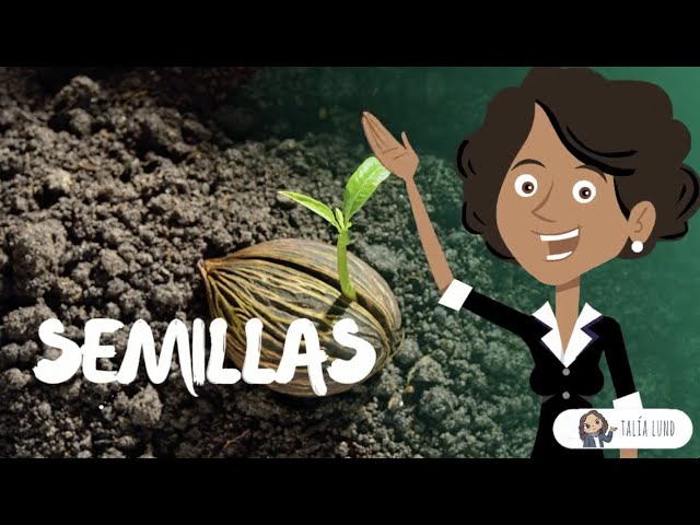 Semillas: ¡Descubre sus partes con los niños!
