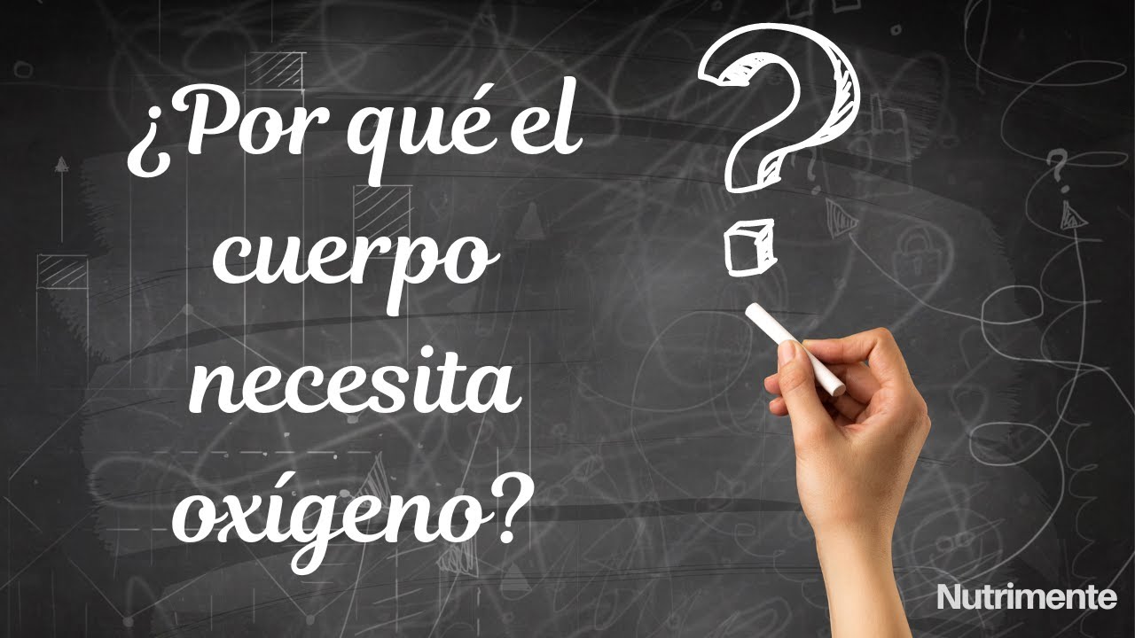 Ser vivo que requiere oxígeno para sobrevivir