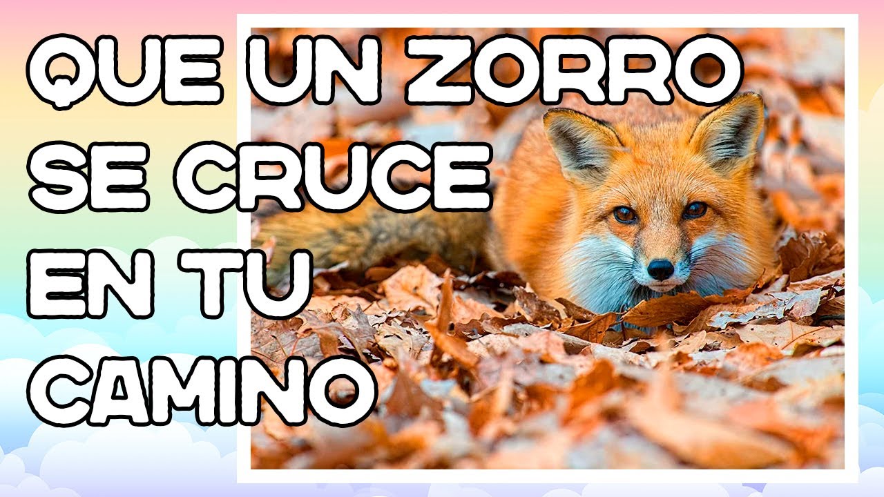 Significado de un zorro sagaz