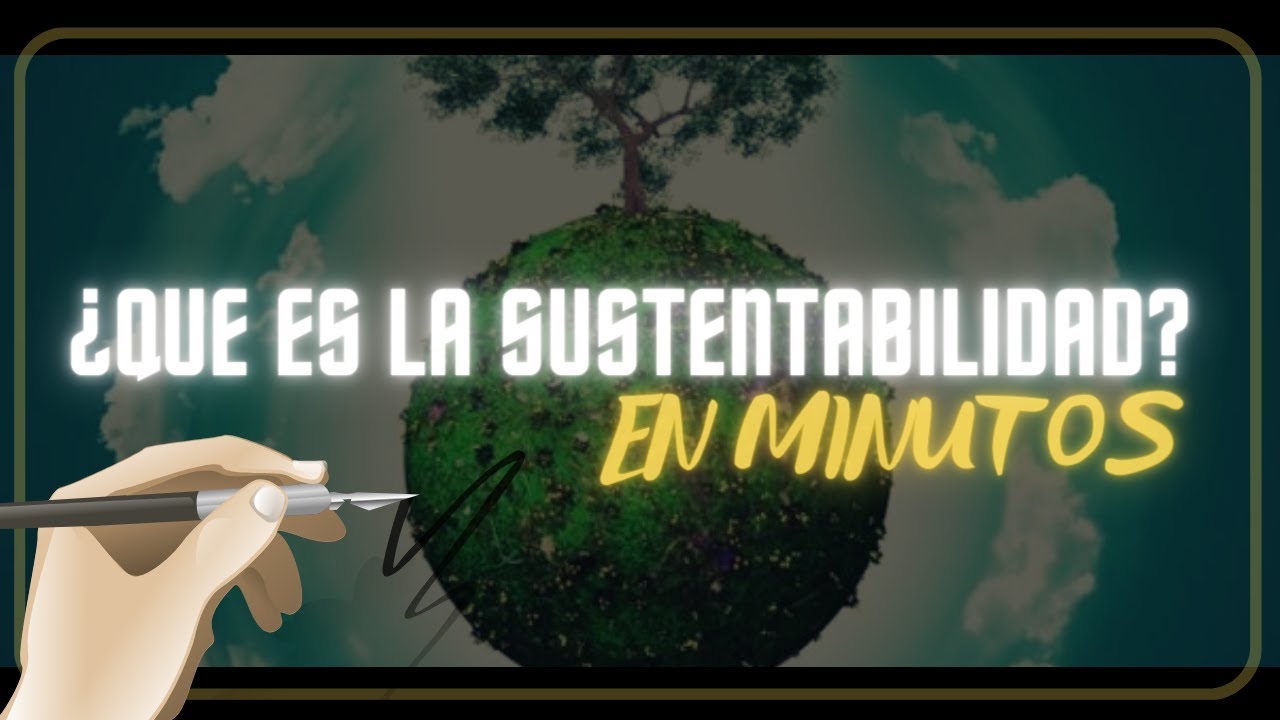 Sustentabilidad y cuidado ambiental: conceptos clave