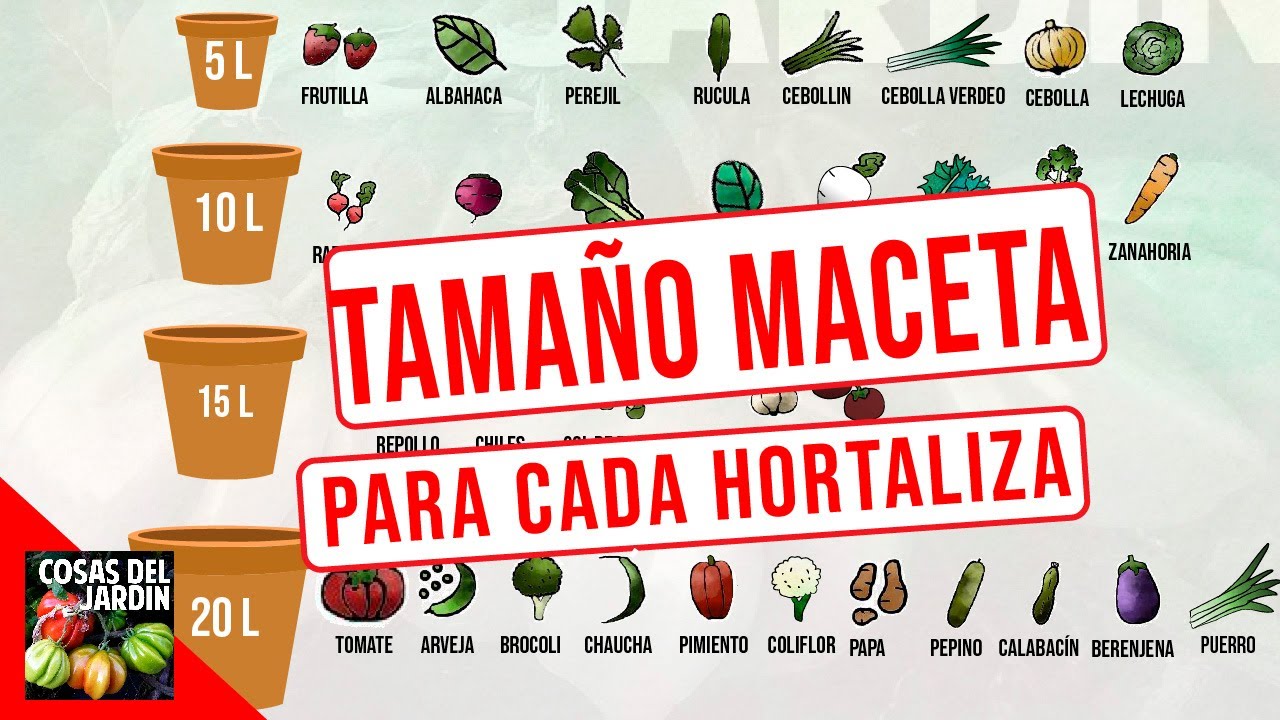 Tamaño de maceta para tomates cherry