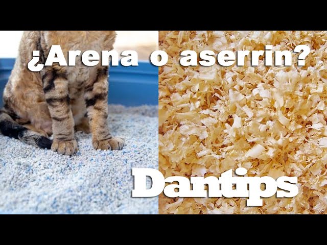Trucos para ahorrar en arena para gatos