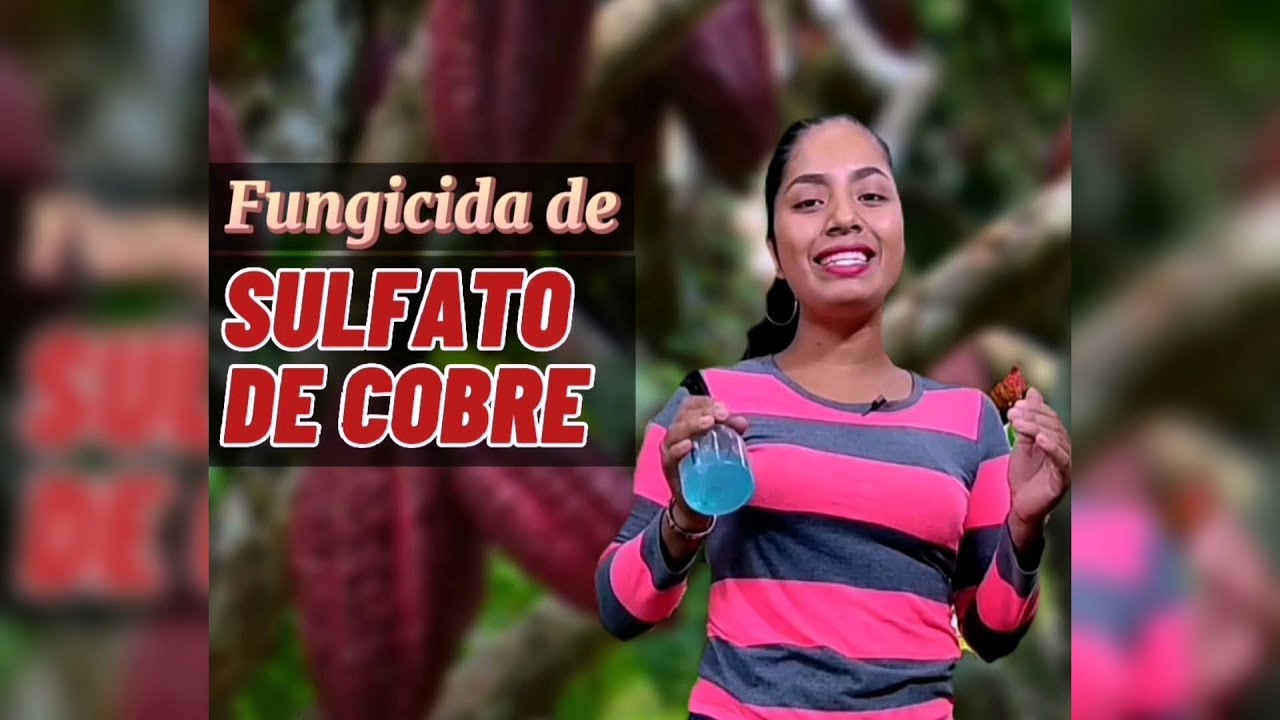 Uso del sulfato de cobre líquido en plantas