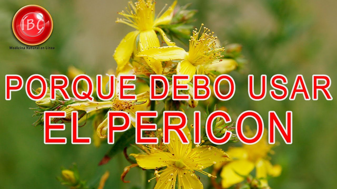 Usos medicinales de la flor de pericón
