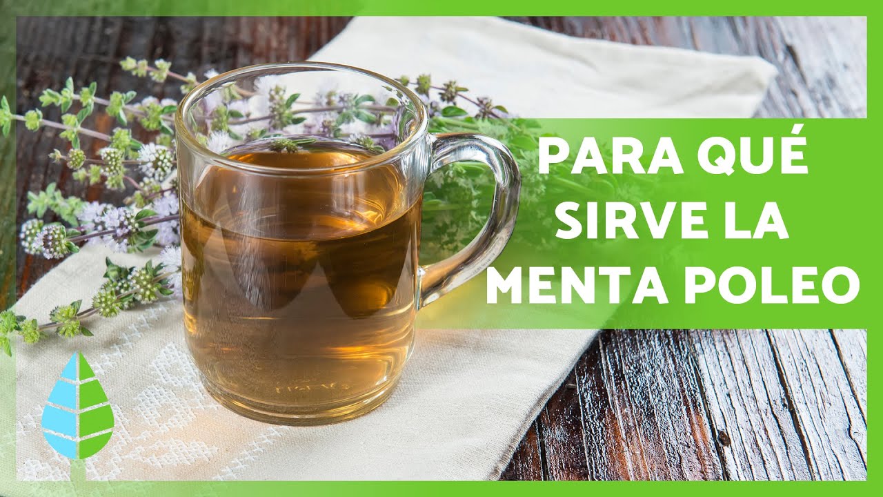 Usos terapéuticos de las gotas de poleo