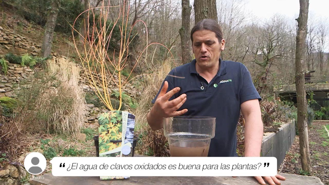 Utiliza óxido de hierro para tus plantas