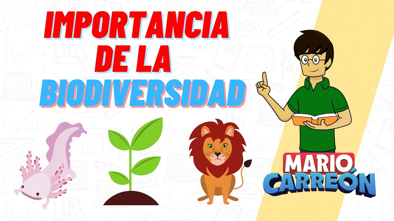 Valor de la biodiversidad: crucial para el ser humano