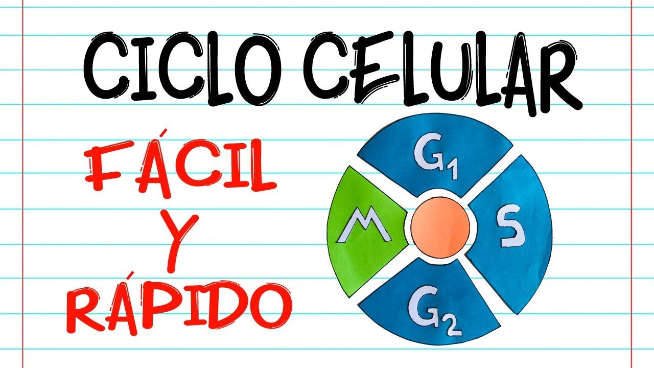 Variabilidad celular dentro de un organismo