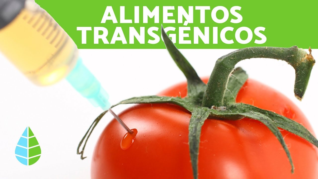 Ventajas de los alimentos transgénicos para la salud