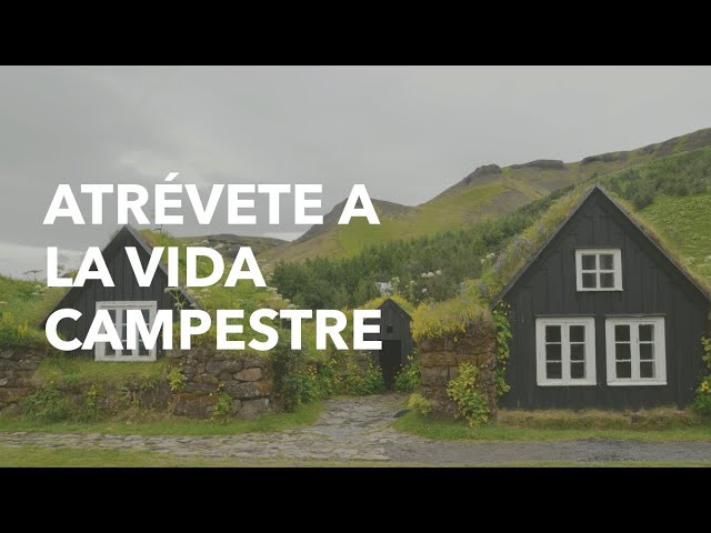 Ventajas de vivir en el campo que no conocías