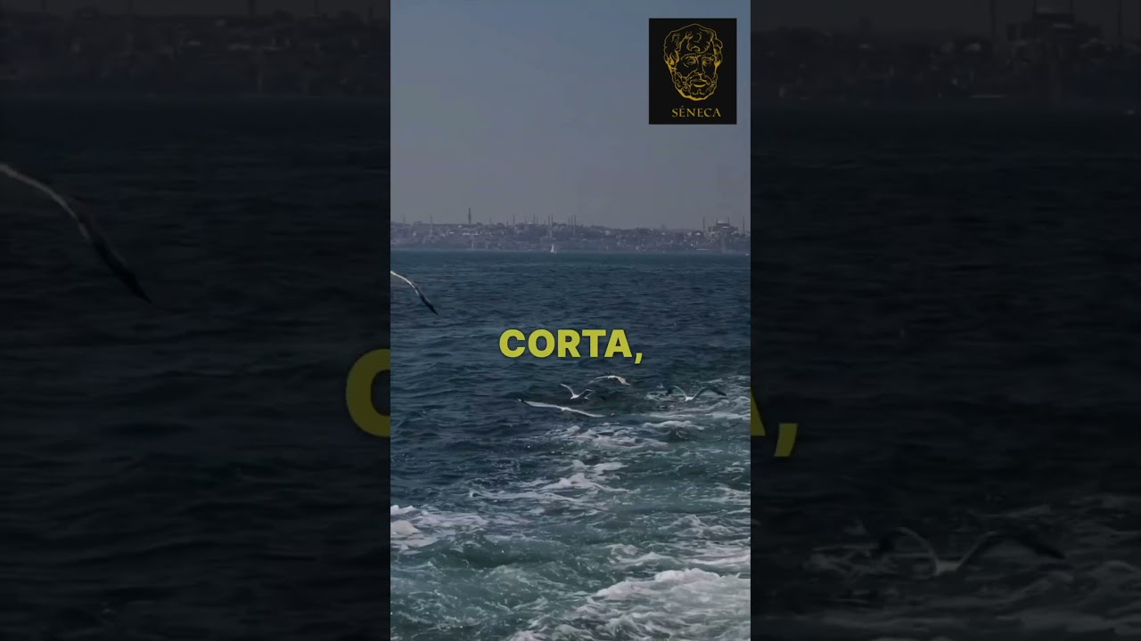 Vive plenamente cada etapa de tu vida