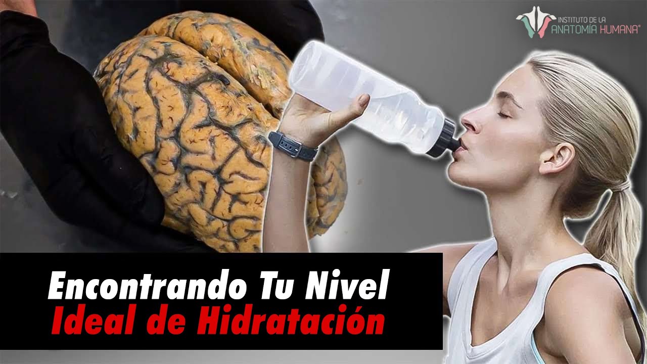 ¿Cuánta agua compone el ser humano?