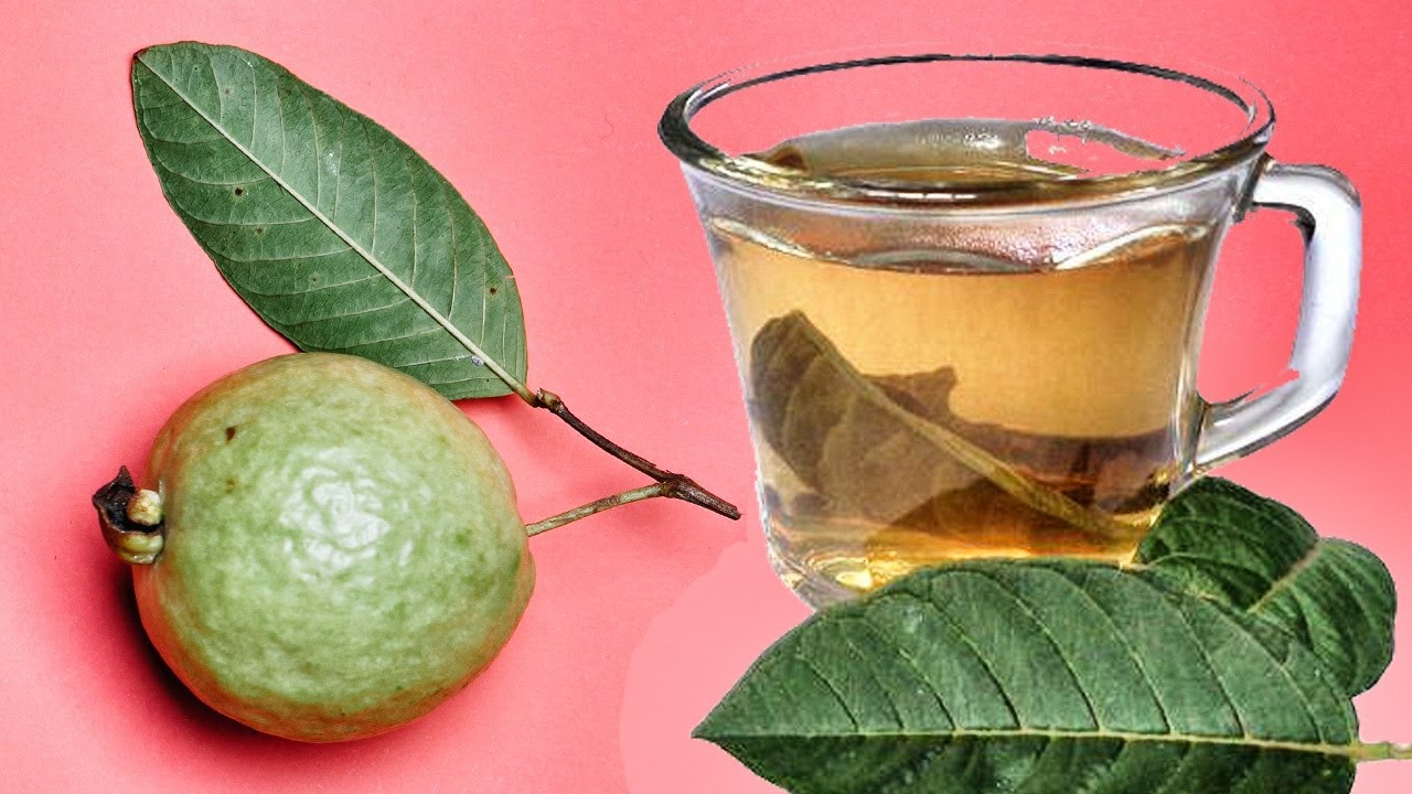 ¿Dónde encontrar hojas de guayaba en México?