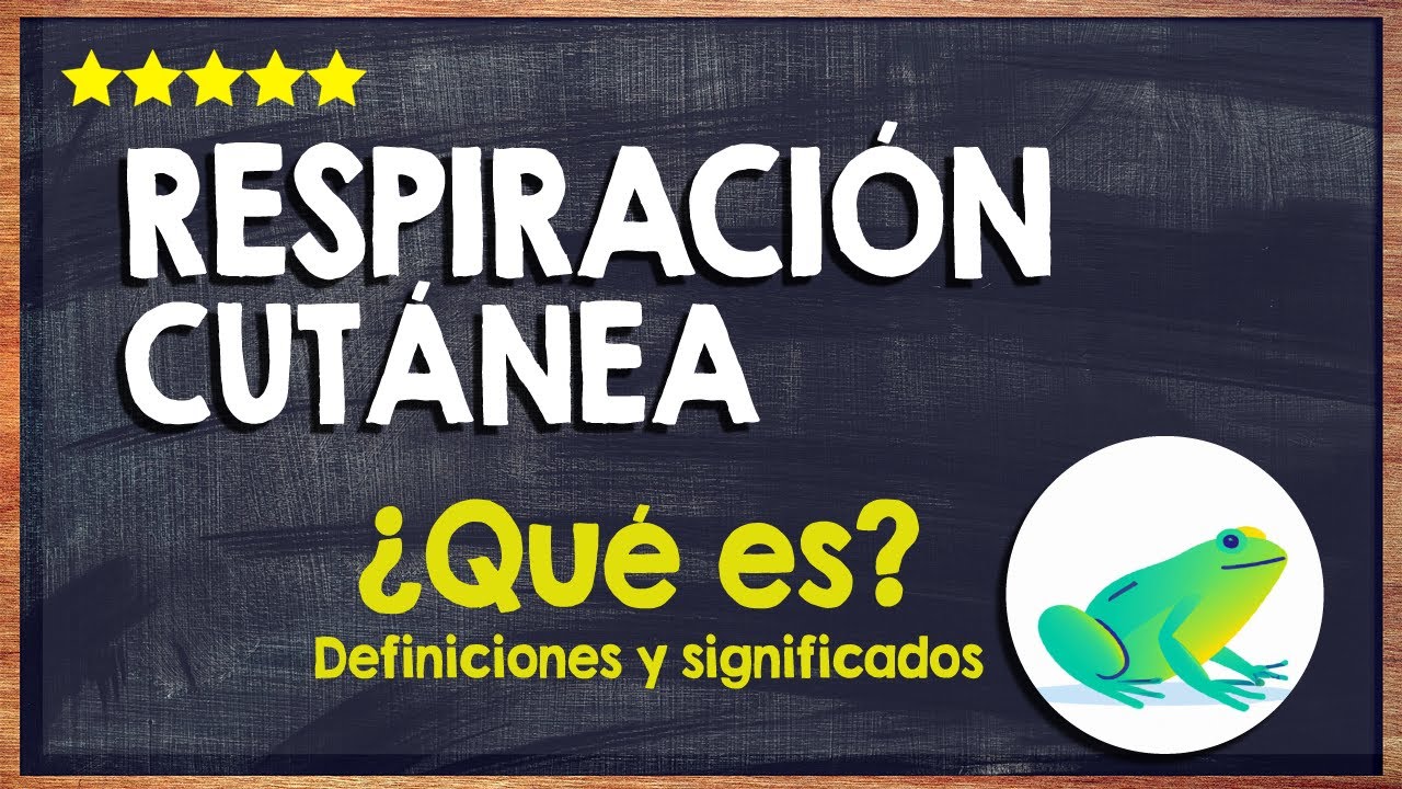 ¿En qué consiste la respiración cutánea?