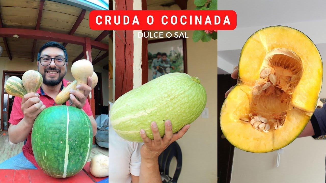 ¿La calabaza es fruta o verdura? Descúbrelo aquí