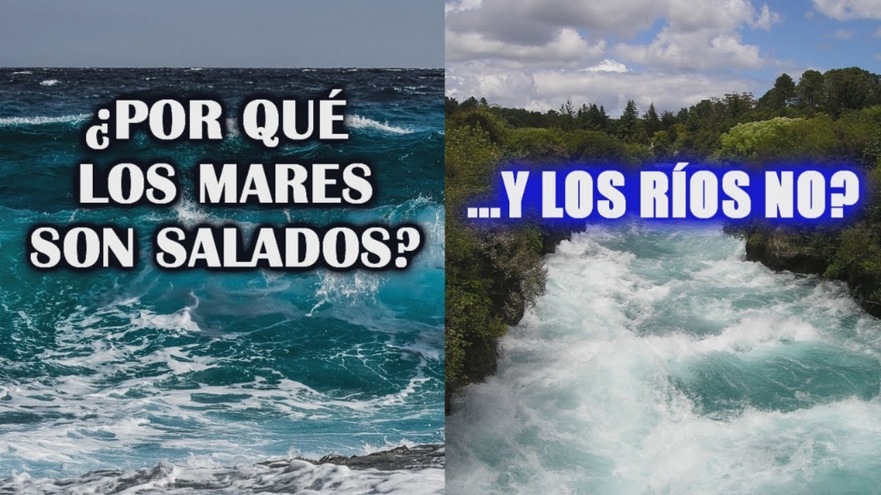 ¿Por qué el mar es salado? Descubre la razón aquí
