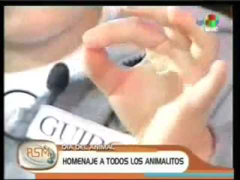 ¿Qué tiene dientes pero no muerde?