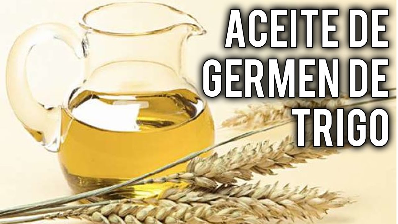Aceite de germen de trigo: usos y beneficios
