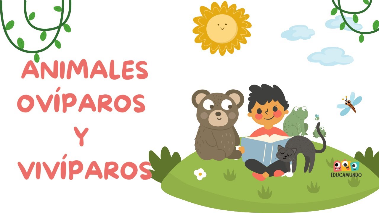 Actividades para preescolar sobre animales ovíparos y vivíparos