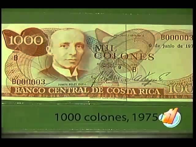 Alerta: el tucán en riesgo de desaparecer