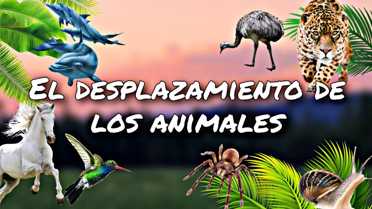 Animales Multifacéticos: Vuelan Nadan y se Arrastran