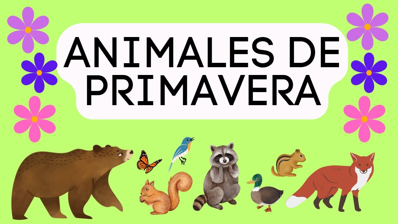Animales característicos de la primavera