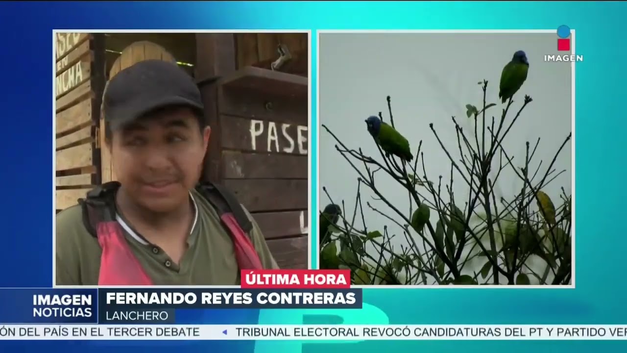 Animales en peligro en San Luis Potosí