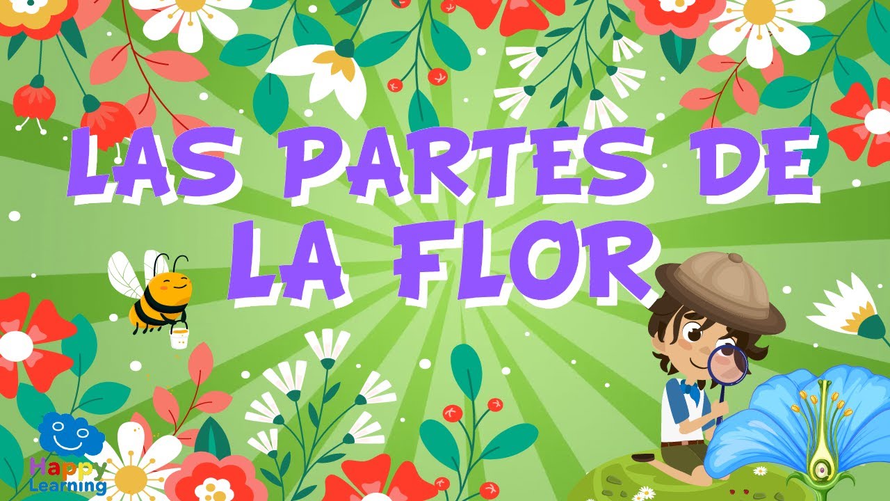 Aprendiendo las partes de la flor en preescolar