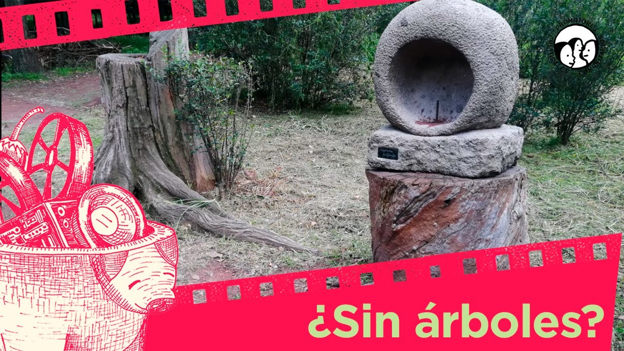 Árboles urbanos en la Ciudad de México